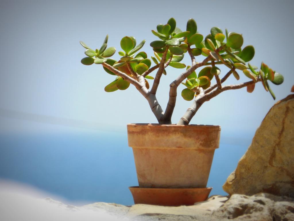Appartamento Don Nino Lido di Noto Εξωτερικό φωτογραφία